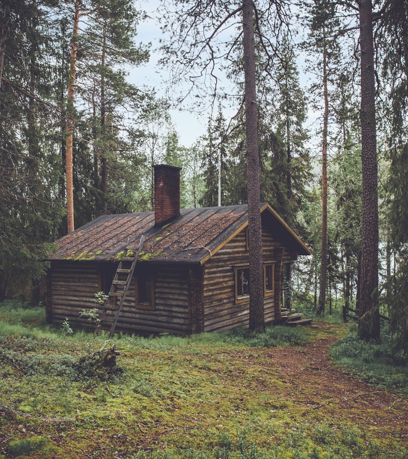 Rustic cabin surrounded by autumn trees