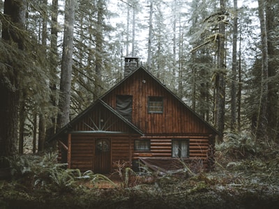 Secluded cabin in a snowy forest